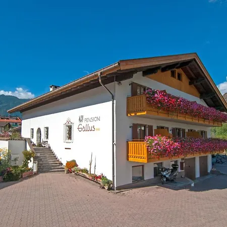 Bed & Breakfast Gallus Latsch