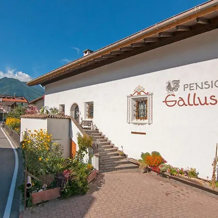 Gallus Latsch